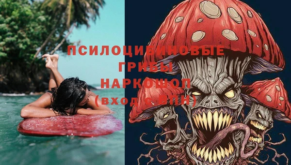 ГАЛЛЮЦИНОГЕННЫЕ ГРИБЫ Гусь-Хрустальный