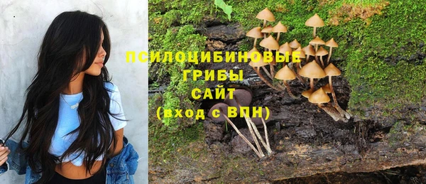 гашиш Богородск